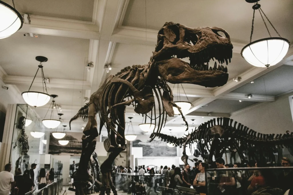 tickets con descuento AMNH ny my way