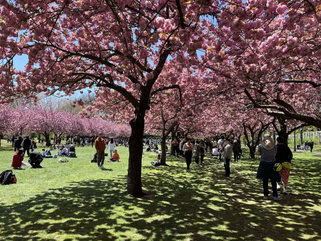 brooklyn botanic garden nymyway