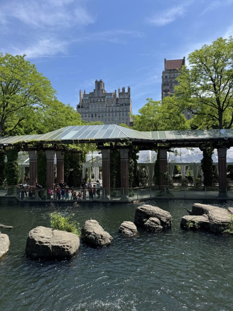 Central Park Zoo nymyway