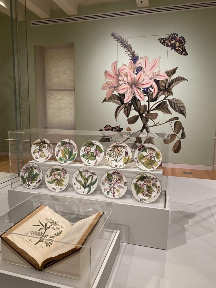 Cooper Hewitt nymyway