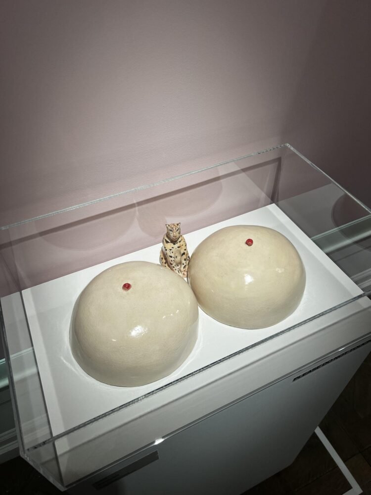 Museo del Sexo nymyway