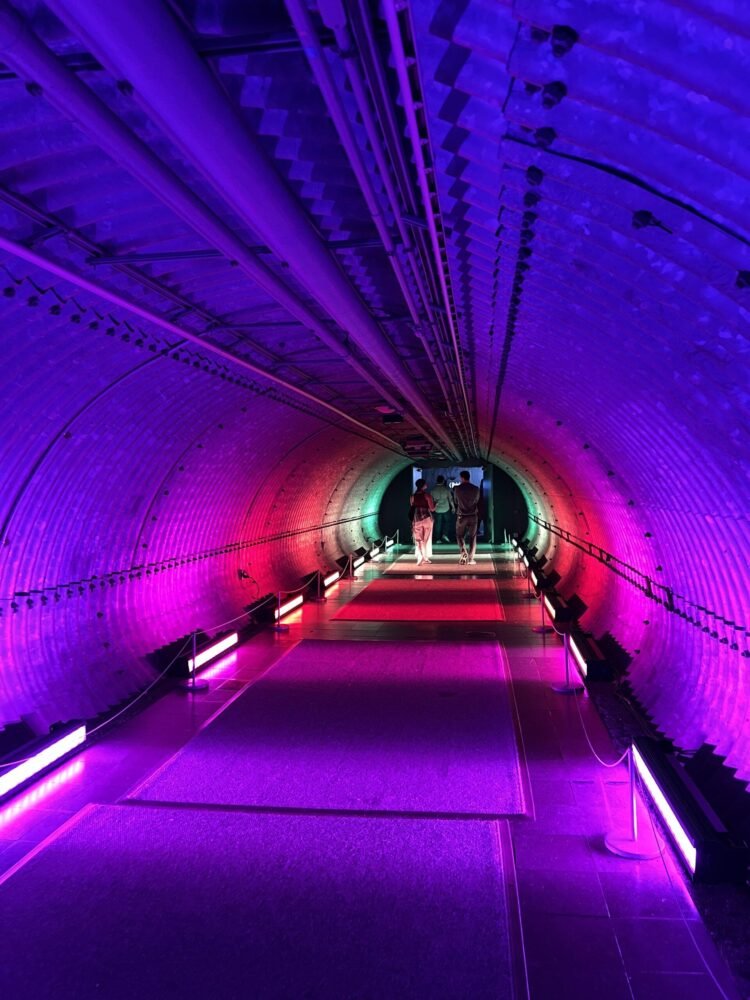 new york botanical garden nymyway