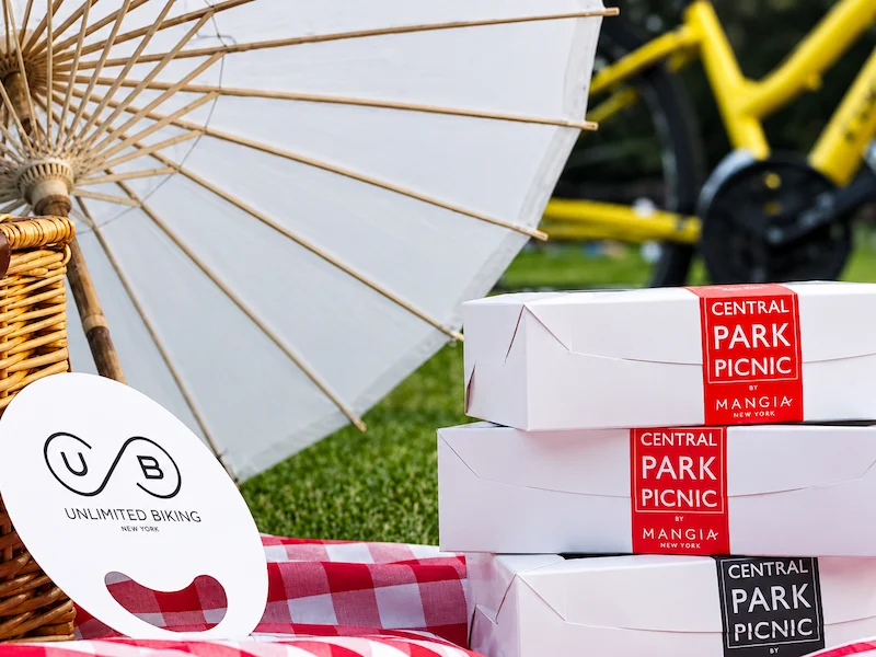 alquiler e-bike y picnic en central park nymyway