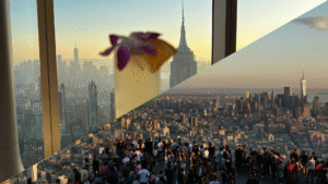 Combo Summit ov + Edge ny my way