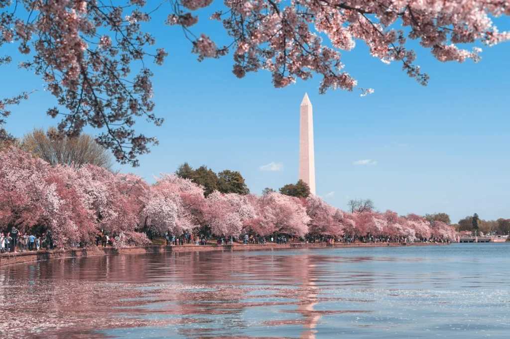 washington dc, niagara, boston tour desde nyc nymyway
