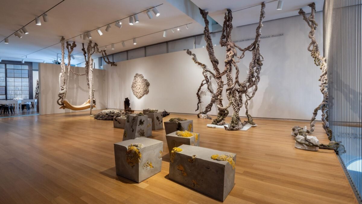 Museo de Arte y Diseño (MAD) nymyway