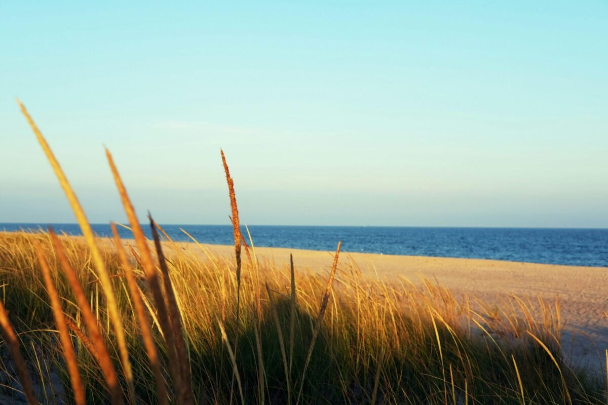 hamptons tours nymyway