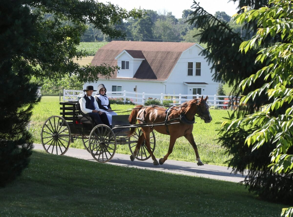 pais amish tour nymyway