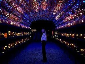 the great jack o'lantern blaze nymyway