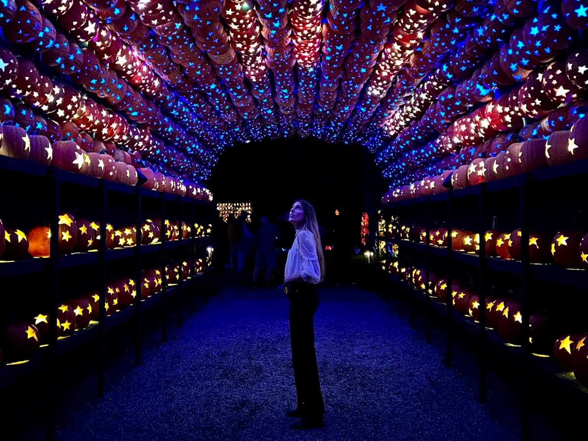 the great jack o'lantern blaze nymyway