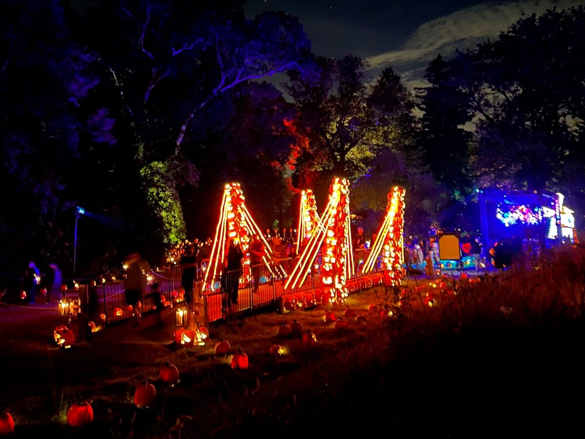 the great jack o'lantern blaze nymyway
