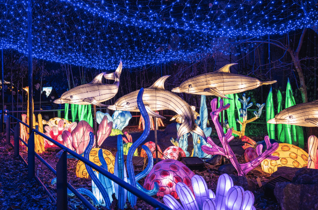 bronx zoo holiday lights nymyway