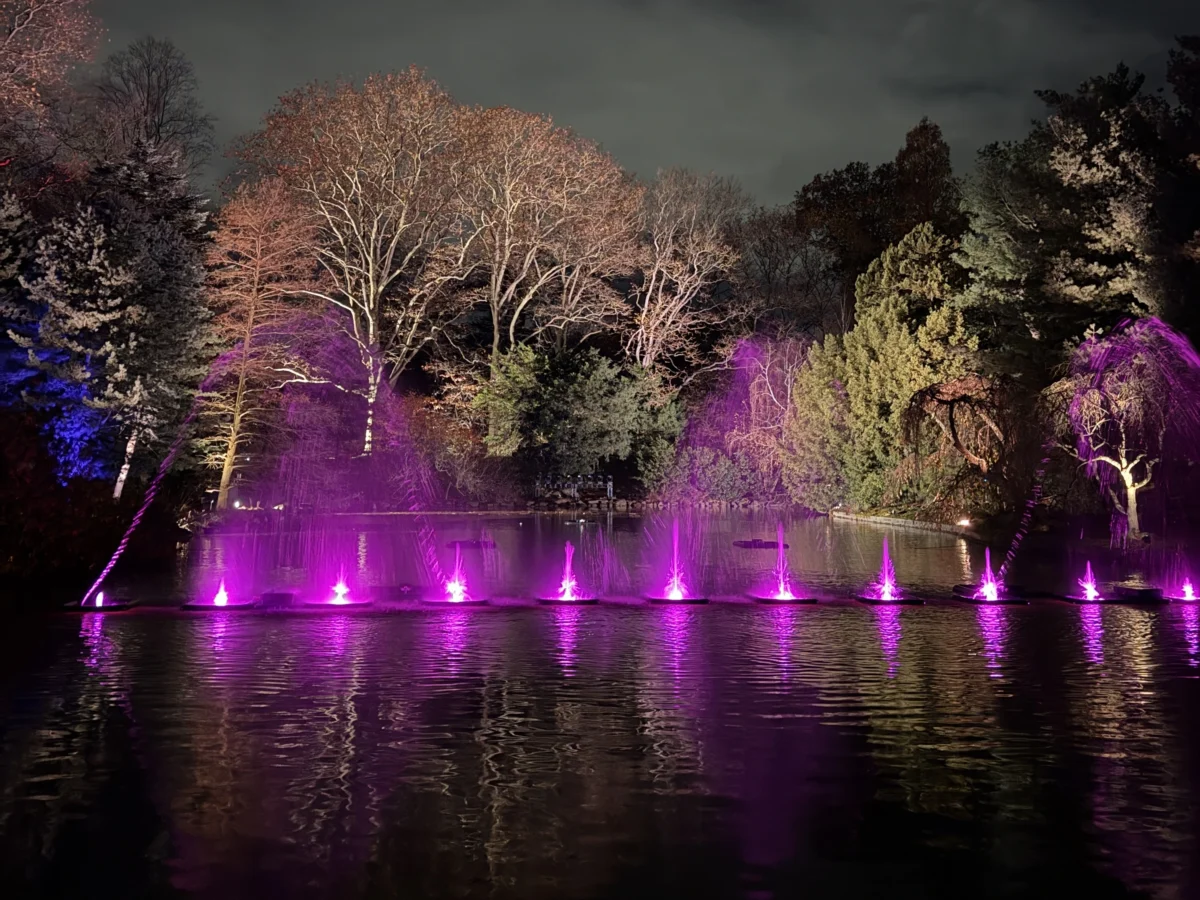 Lightscape brooklyn botanic garden nymyway