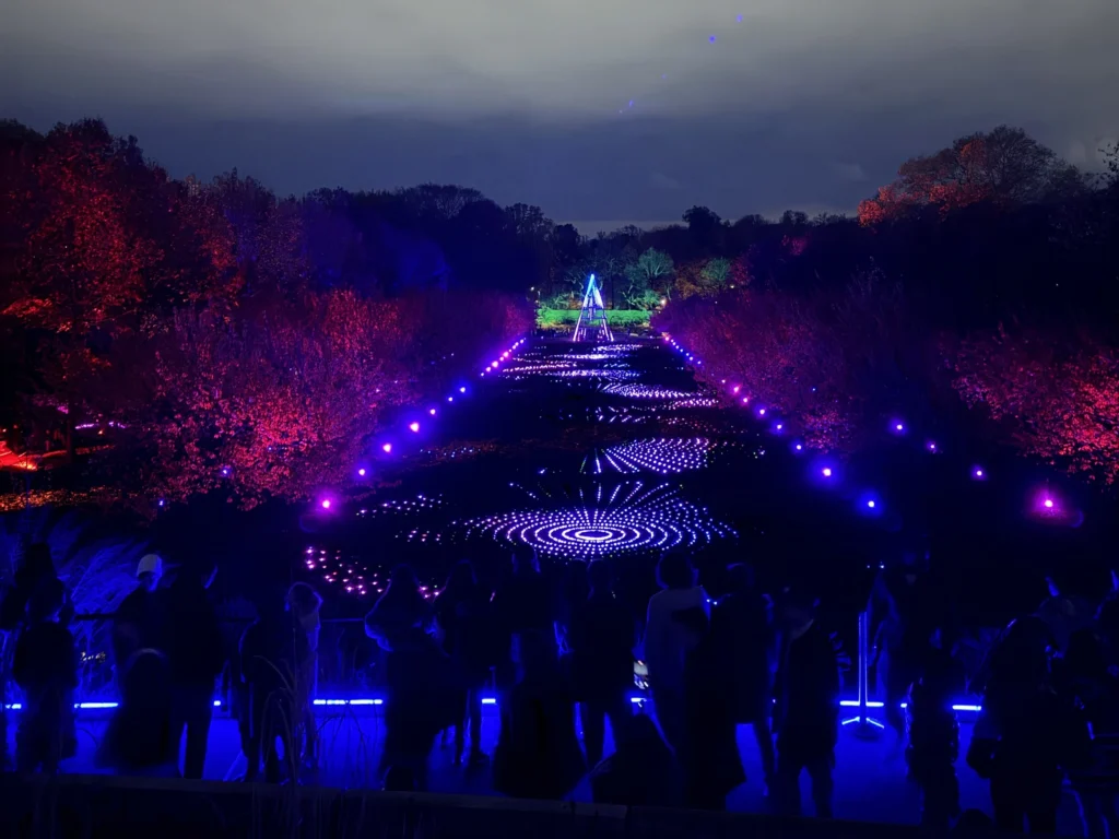 Lightscape brooklyn botanic garden nymyway