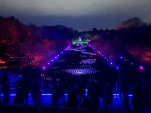 Lightscape brooklyn botanic garden nymyway