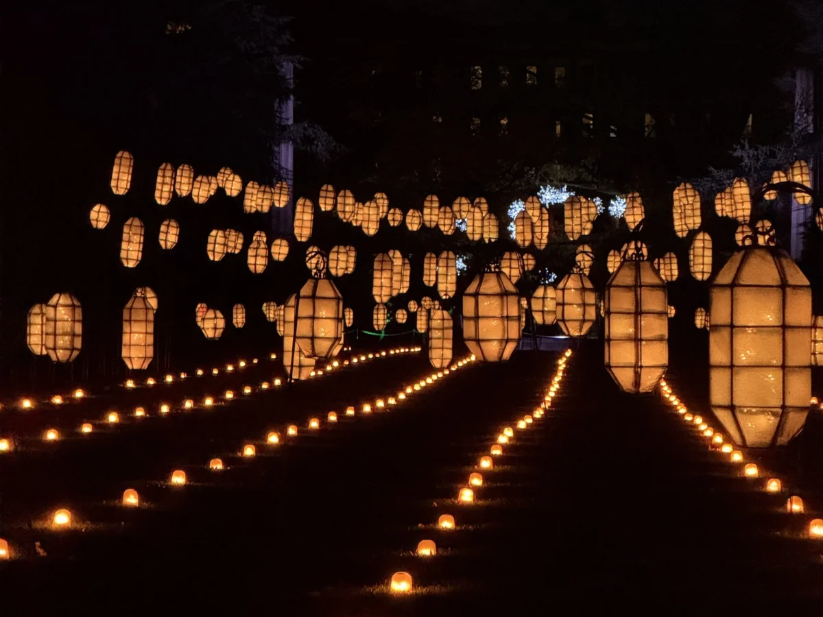 Lightscape brooklyn botanic garden nymyway