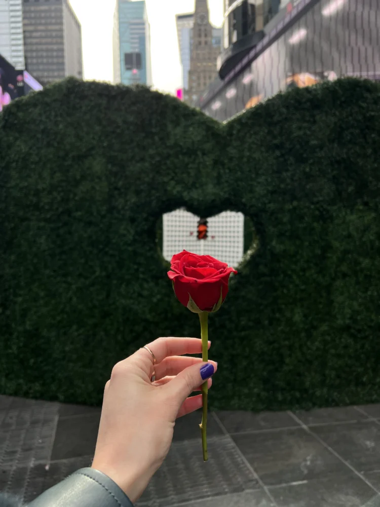 san valentín nymyway.co