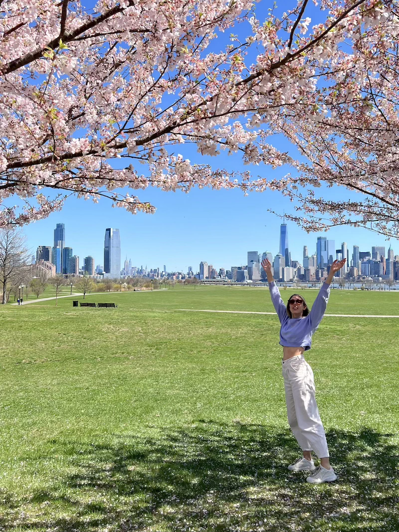 primavera en nyc dónde encontrar cerezos en nueva york