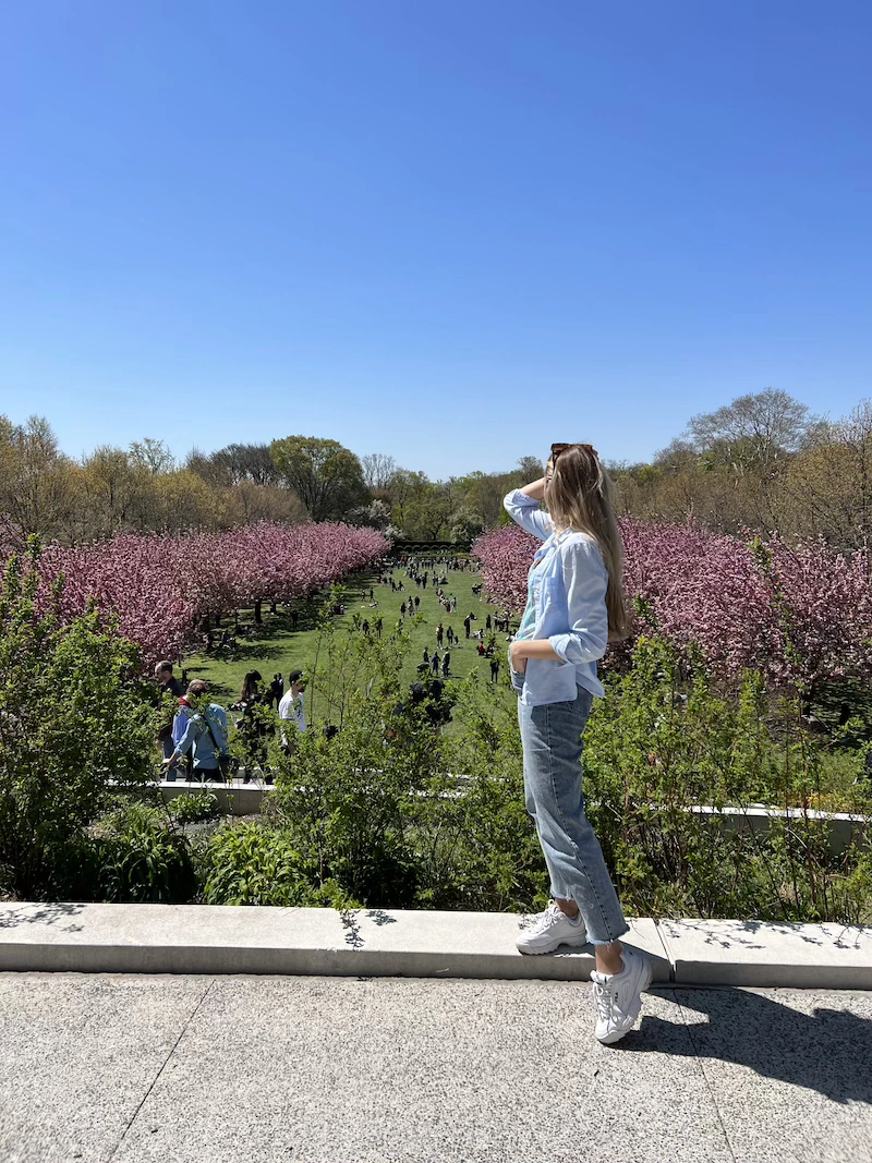primavera en nyc dónde encontrar cerezos en nueva york