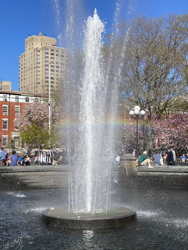 primavera en nyc dónde encontrar cerezos en nueva york