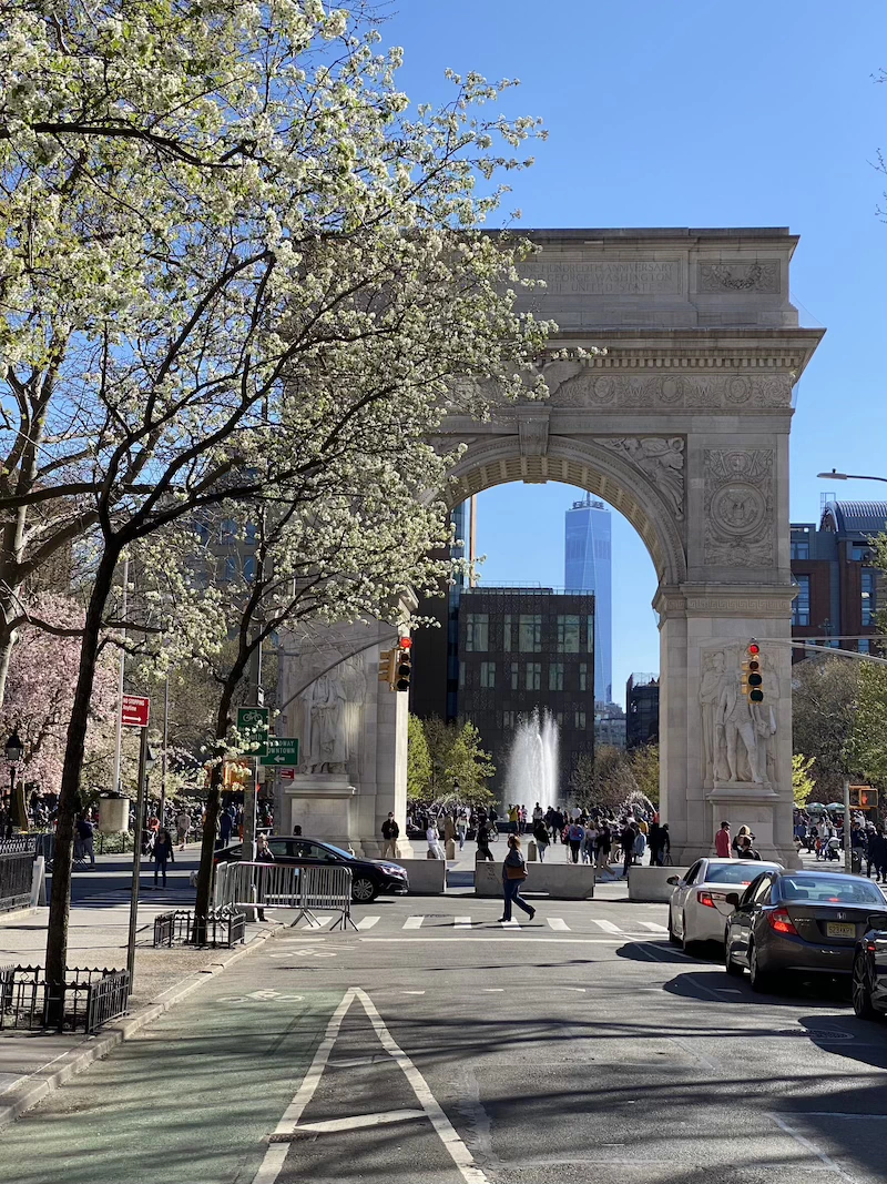primavera en nyc dónde encontrar cerezos en nueva york