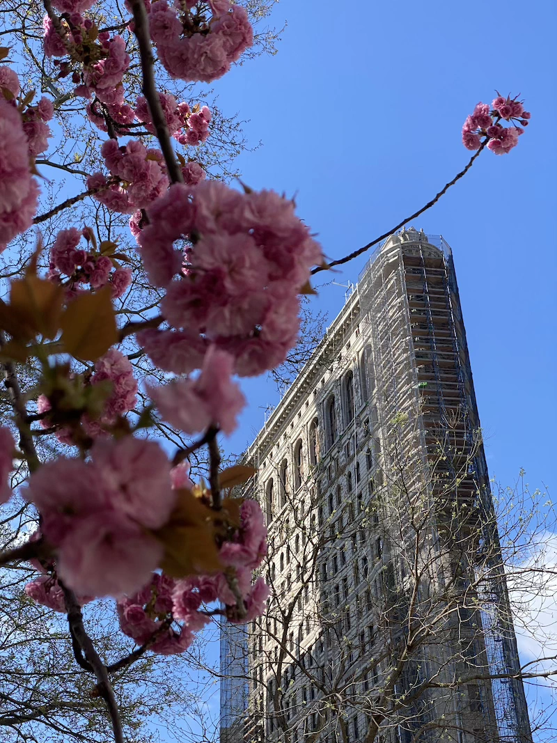 madison square park primavera nyc