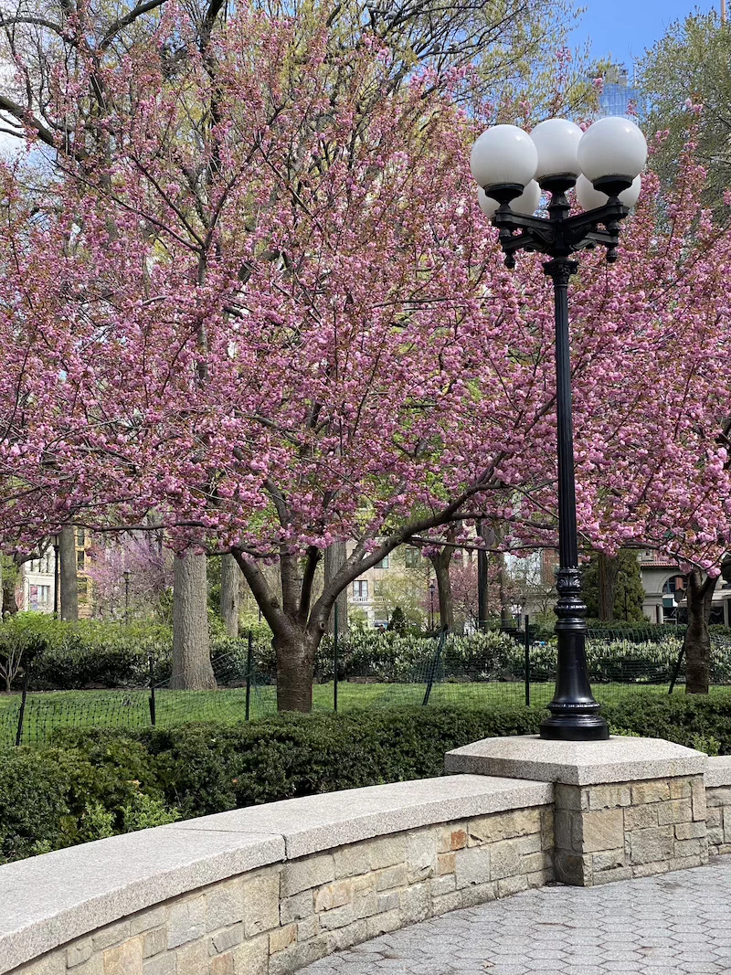 union square en primavera nyc
