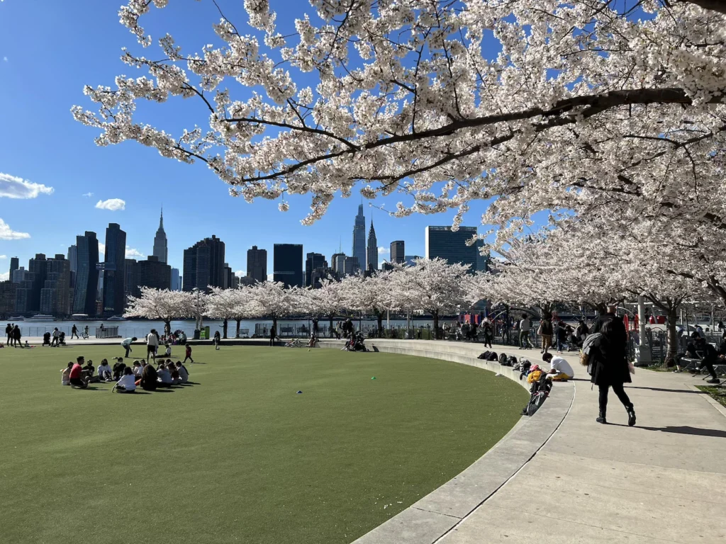 primavera en nyc