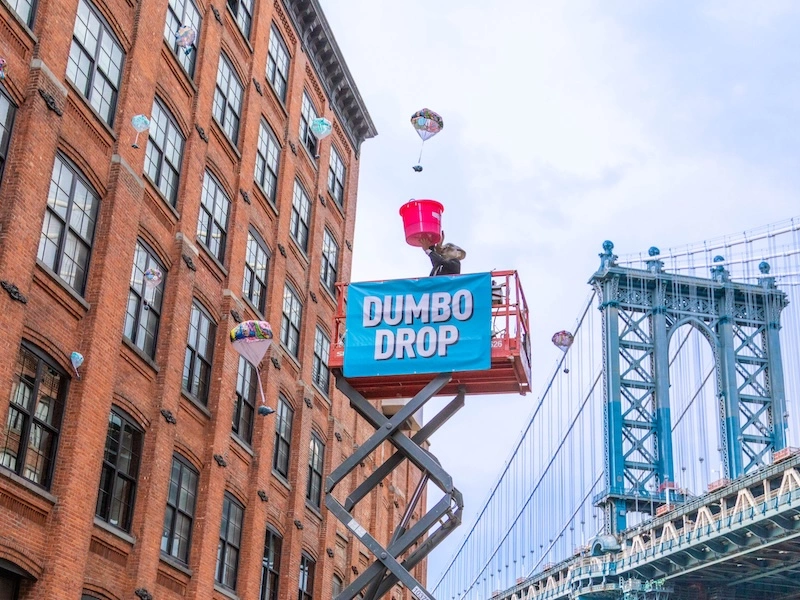 dumbo drop nymyway