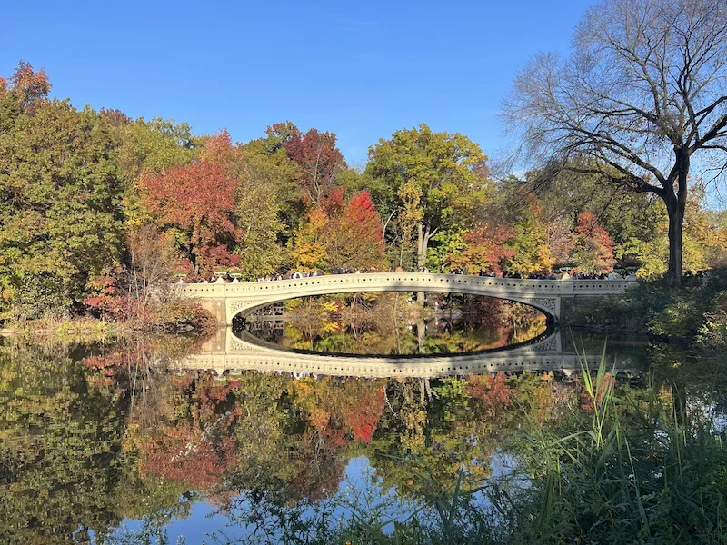qué hacer en el otoño en nyc nymyway