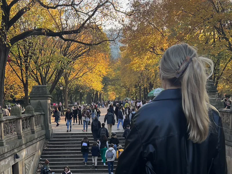 otoño en nyc central park nymyway