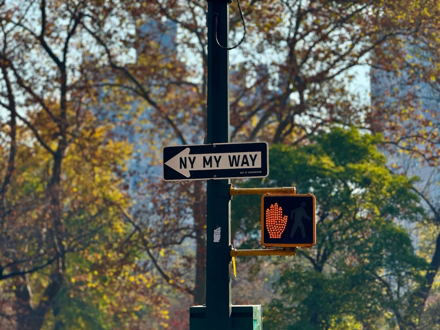 qué hacer en otoño en nyc nymyway